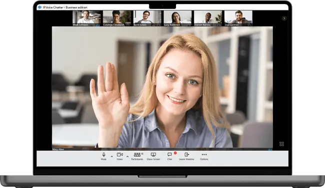 VoIP meeting and communication tools